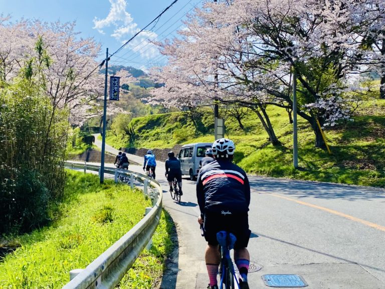 ～　3月のイベント開催　スケジュール　～
